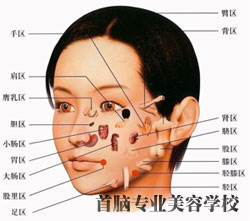 面部穴位指壓法