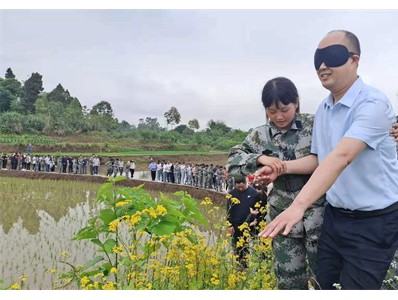 白領爾（重慶）家庭教育服務